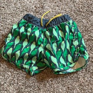 Baby gap swim trunks 12-18 months parrot print